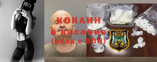 шишки Аркадак