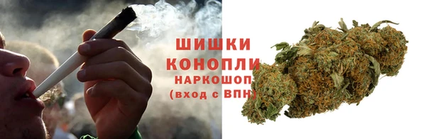 шишки Аркадак
