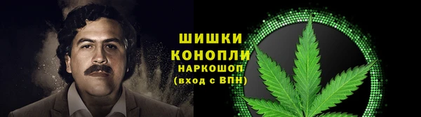 шишки Аркадак