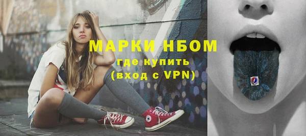 шишки Аркадак